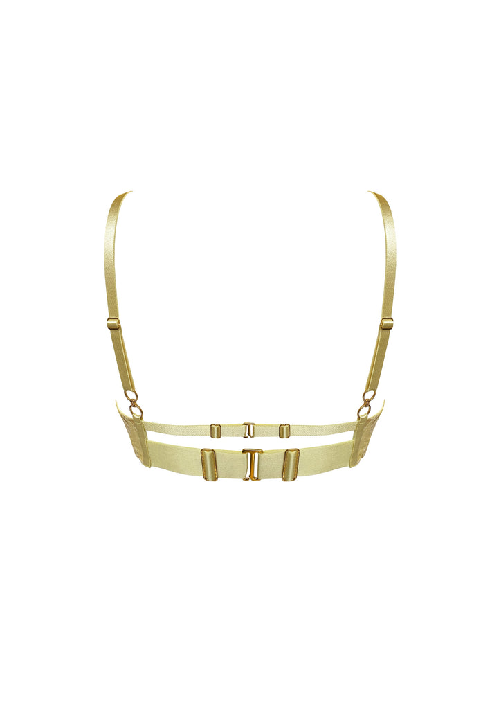 Alta Ouvert Wire Bra